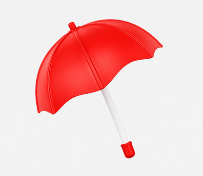 21 Inch (53.34cm) 2 Fold Auto-Open Umbrella