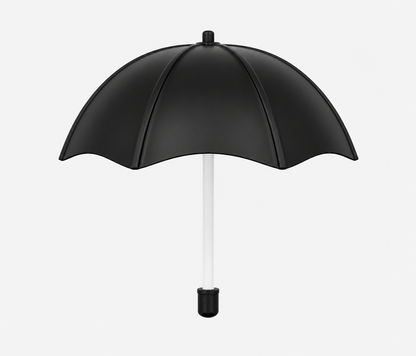 21 Inch (53.34cm) 2 Fold Auto-Open Umbrella