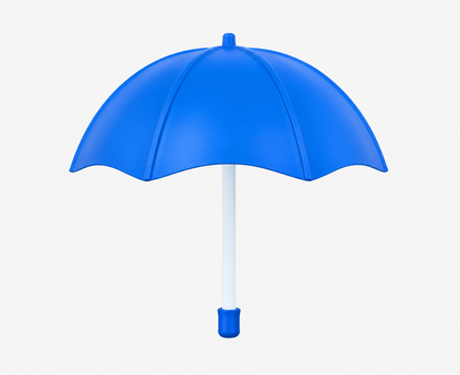 21 Inch (53.34cm) 2 Fold Auto-Open Umbrella